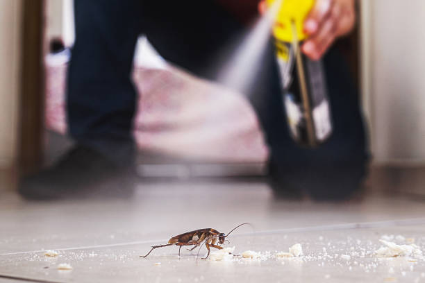 Best Insect Control  in Fort Smith, AR